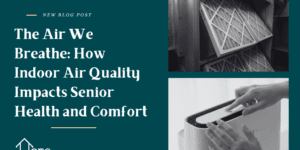 the air we breathe effects us as we age blog post for seniors